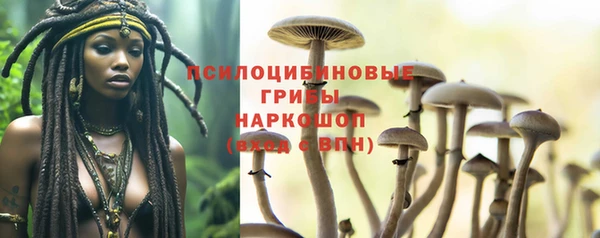 Альфа ПВП Богданович