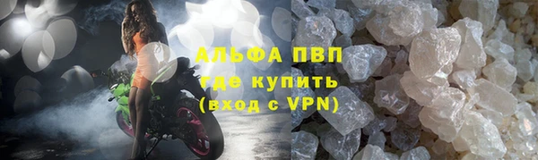 эйфоретик Бородино