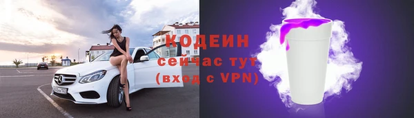 эйфоретик Бородино