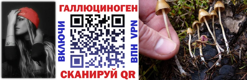 Псилоцибиновые грибы ЛСД  blacksprut онион  площадка какой сайт  Новокубанск 